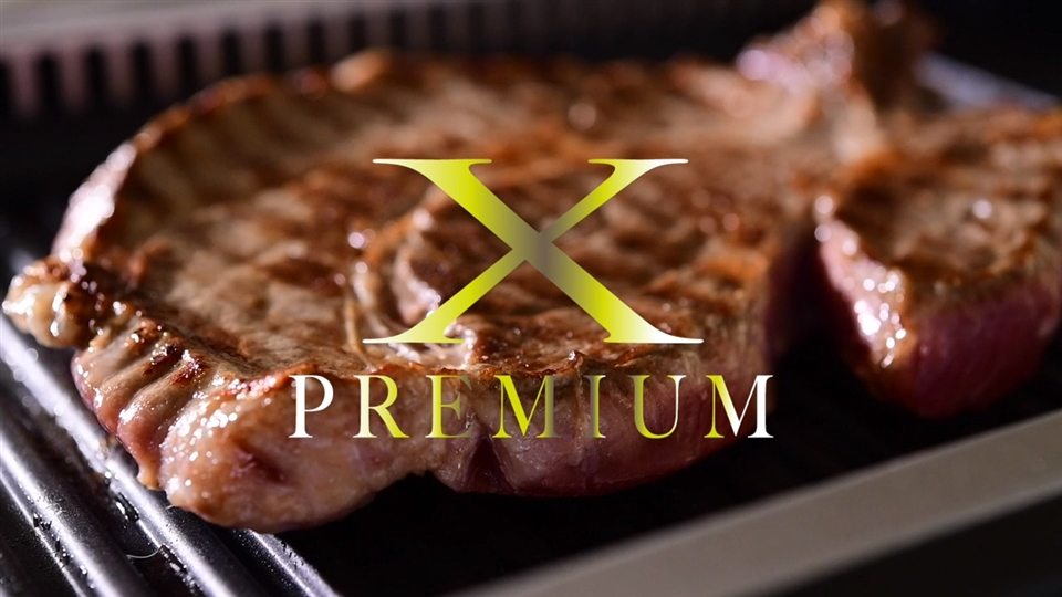 山善 煙が少ない焼肉グリル Xgrill Premium エックスグリル プレミアム