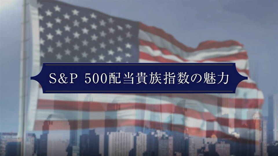 米国株式配当貴族(年4回決算型) | 商品・サービス | 野村アセット