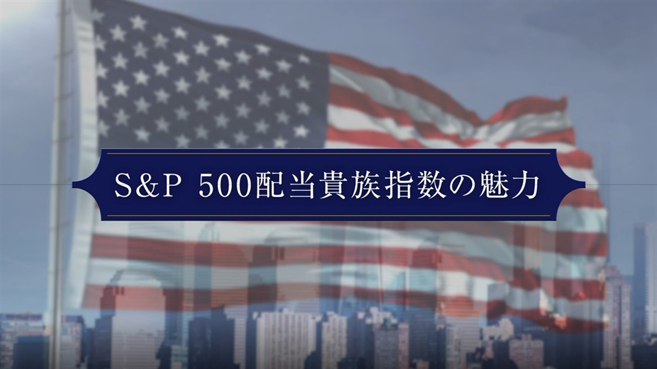 野村インデックスファンド・米国株式配当貴族 愛称:Funds-i フォーカス