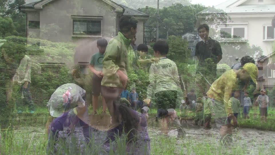 動画あり 社会科の学習で米づくりを体験 農学部の学生の指導のもと 5年生が田植えに挑戦しました 玉川の教育 玉川学園