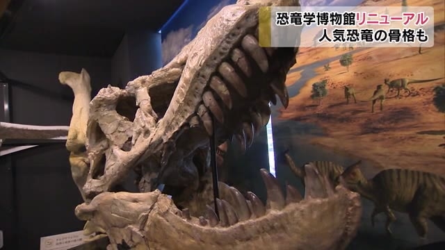 迫力の骨格標本など約１００点並ぶ 恐竜学博物館リニューアルオープン 岡山 岡山市 Ohk 岡山放送