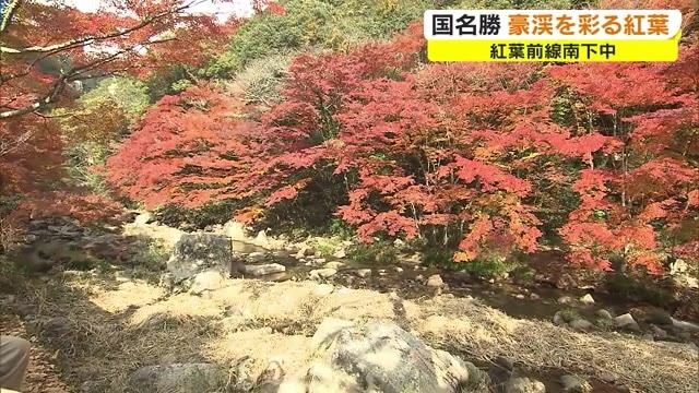 錦絵巻のような景色広がる 国の名勝 豪渓で紅葉見頃 岡山 総社市 Ohk 岡山放送