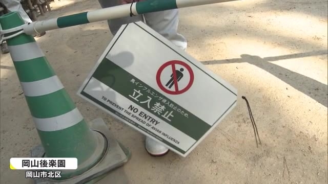 正月のタンチョウ園内散策中止 野鳥から鳥インフル検出で後楽園では感染防止対策へ 岡山 岡山市 Ohk 岡山放送 正月のタンチョウ園内散策中止 野鳥から鳥インフル検出で後楽園では感染防止対策へ 岡山 岡山市 Ohk 岡山放送