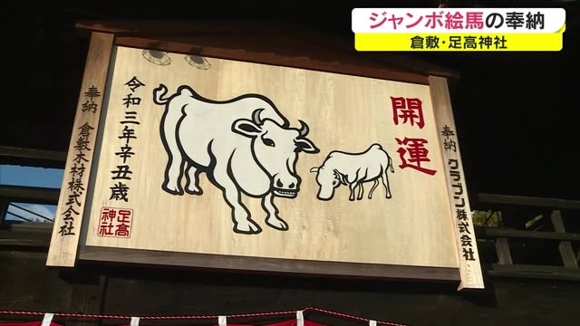 足高神社で 丑 の絵を描いたジャンボ絵馬がお目見え 岡山 倉敷市 Ohk 岡山放送