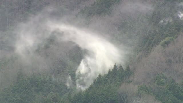 コロナ禍でやってくる花粉症シーズン 傾向は 岡山 香川 Ohk 岡山放送