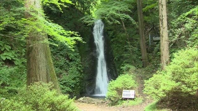 流れ落ちる水しぶきが清涼感を 横野滝 にぎわう 家族連れらはそうめん流し楽しむ 岡山 津山市 Ohk 岡山放送