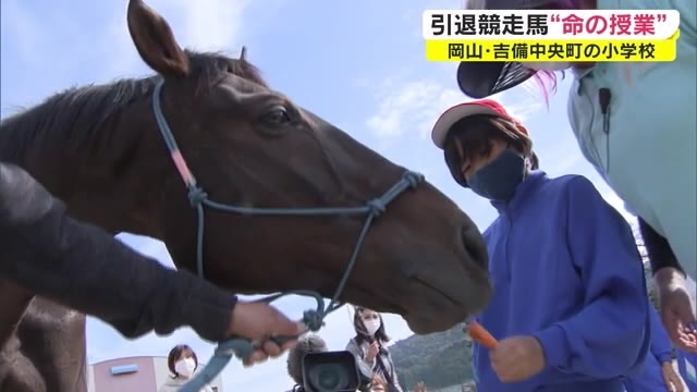 本当は殺す予定だった 引退した 競走馬 と触れ合う 子供たちに 命の授業 岡山 吉備中央町 Ohk 岡山放送