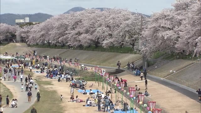 ３年連続中止 岡山さくらカーニバル 新型コロナの感染拡大防止のため 岡山 岡山市 Ohk 岡山放送