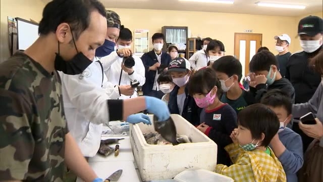 魚をさばいてみたい 瀬戸内海の魚を勉強の子どもたち イカの調理体験 に悪戦苦闘 香川 さぬき市 Ohk 岡山放送