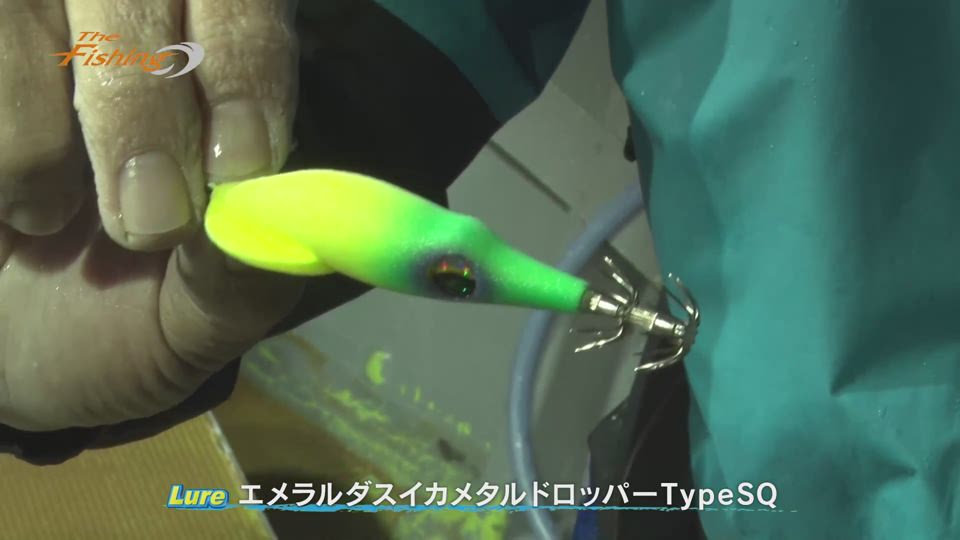 2021年7月3日「大人のYOASOBI若狭湾イカメタルゲーム」｜THE