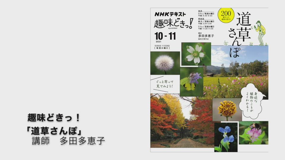趣味どきっ 道草さんぽ Nhk出版