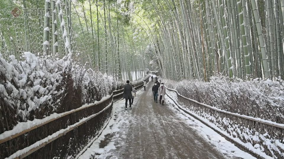 雪が舞う竹林の小径（2022年1月14日、京都市右京区）
