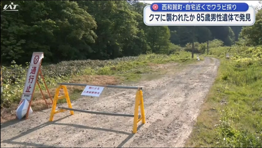 クマに襲われたか　ワラビ採りに出かけた男性（８５）の遺体発見【岩手・西和賀町】