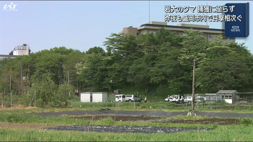 大学に居座っていたクマは罠にかからず　目撃情報多数【岩手】