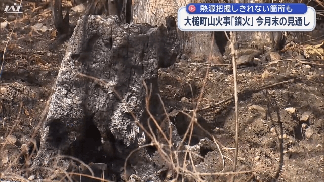大槌町山火事「鎮火は今月末」【岩手】
