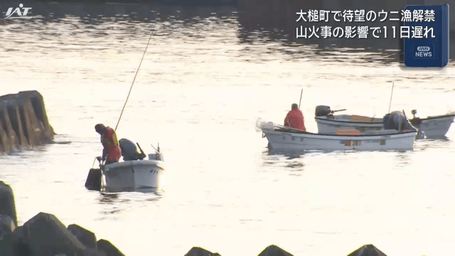 大槌町で待望のウニ漁解禁