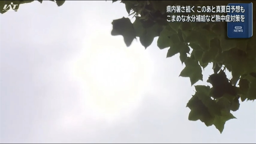 県内１１カ所で夏日に　暑さ続く　熱中症に注意を【岩手】