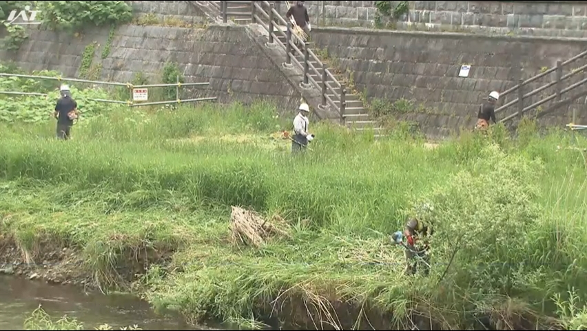 東北絆まつりを前にクマ対策　中津川河川敷刈り払い【岩手・盛岡市】