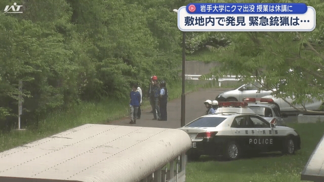 岩手大学でクマ出没　