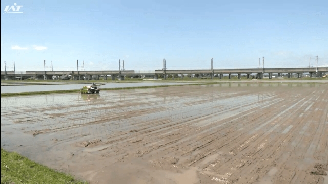 田植えの進捗率１６％　平年よりやや早い【岩手】