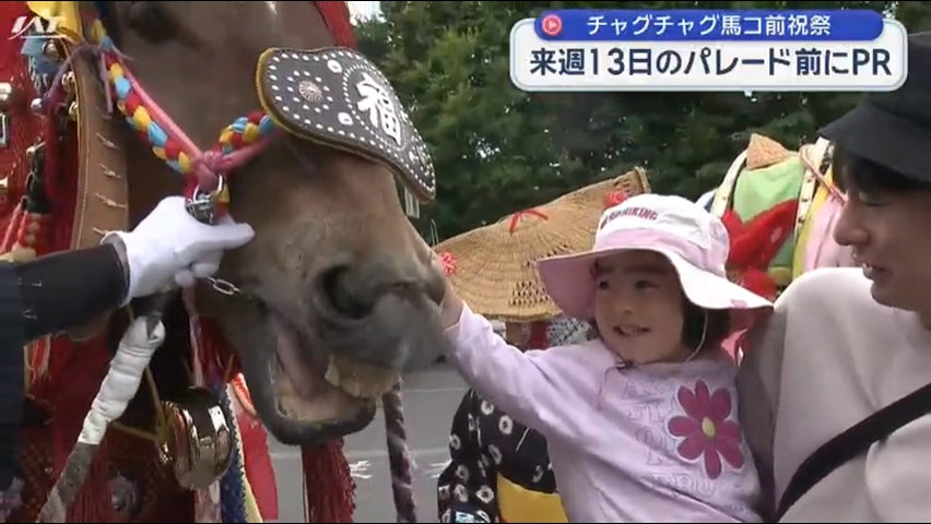 チャグチャグ馬コのパレードを前にお披露目【岩手・盛岡市】