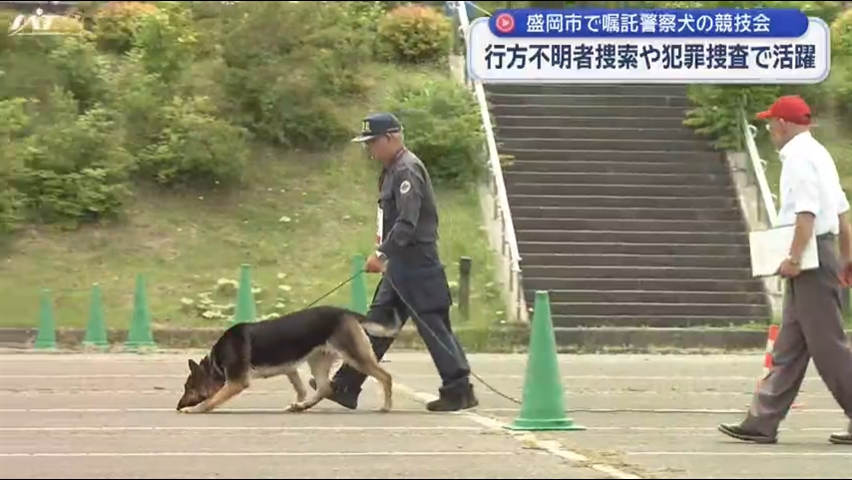 嘱託警察犬の競技会　行方不明者捜索や犯罪捜査で活躍【岩手・盛岡市】