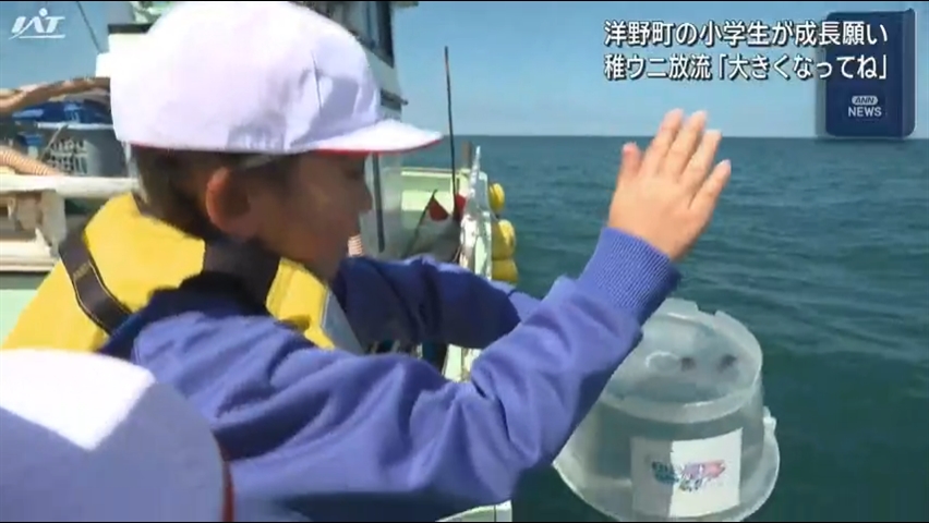 「大きくなってね」小学生が稚ウニ放流【岩手・洋野町】