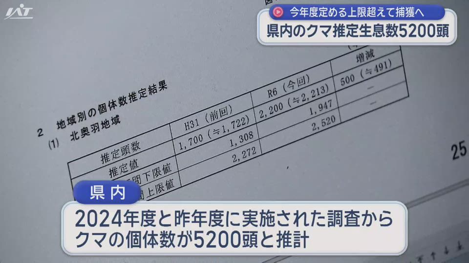 クマ推定生息数５２００頭　上限超えて捕獲へ【岩手】