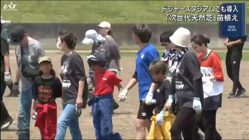 「次世代天然芝」　クルージャ選手ら苗植え【岩手・紫波町】