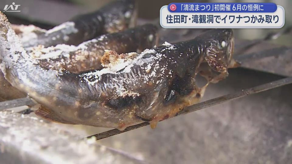 滝観洞でイワナつかみ取り「清流まつり」初開催【岩手・住田町】