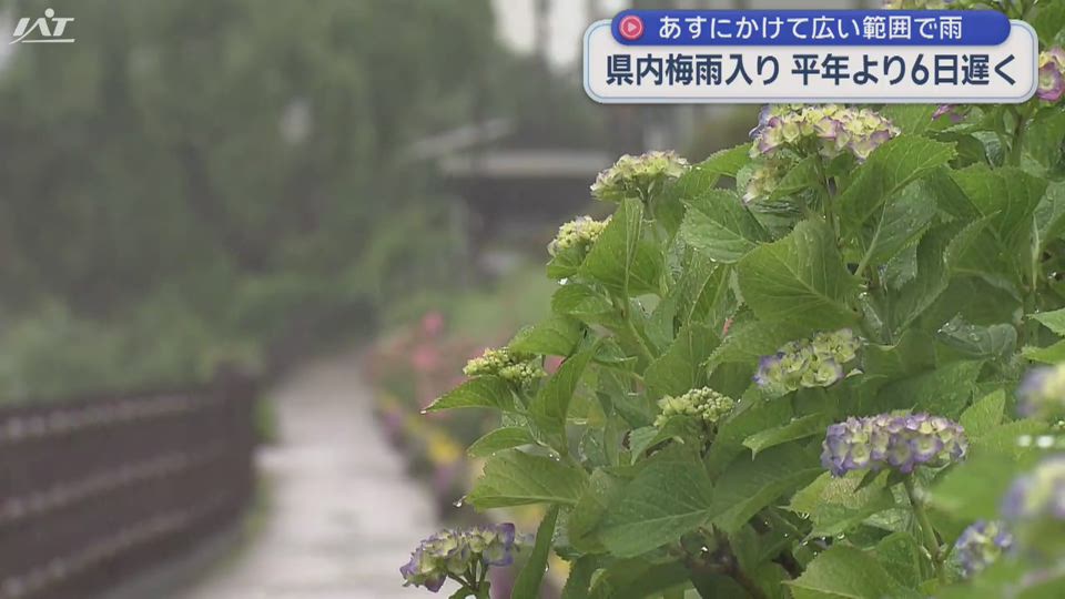 県内も梅雨入り　２２日にかけて広い範囲で雨の予報【岩手】