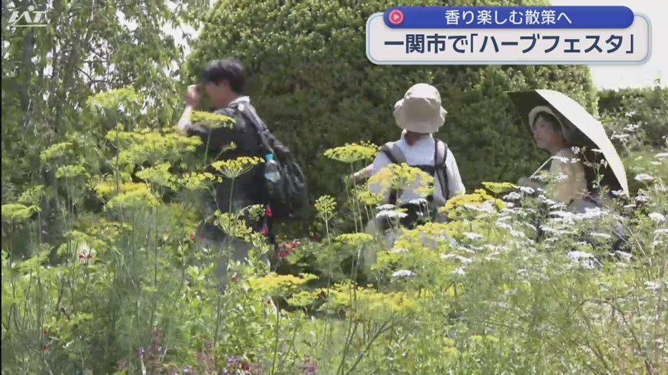 香り楽しむ「ハーブフェスタ」【岩手】