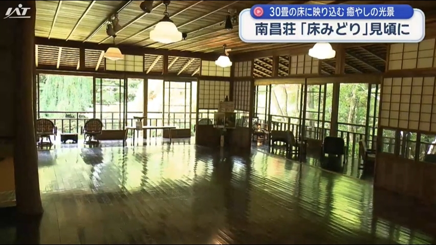 南昌荘・初夏の風物詩「床みどり」見頃【岩手・盛岡市】