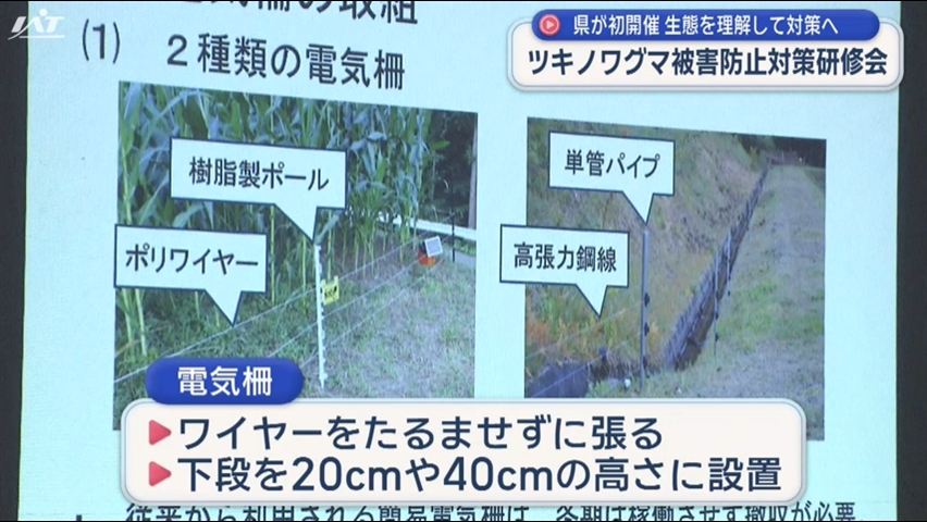 人里での出没が相次ぐクマによる被害を防ごうと　市町村や関係機関の職員を対象とした対策研修会【岩手】
