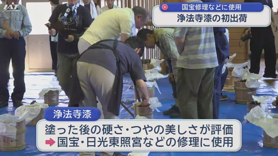 国宝の修理などに使用「浄法寺漆」　今シーズン初出荷【岩手・二戸市】