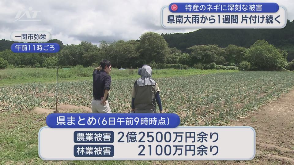 県南大雨から１週間　農作物の被害大きく【岩手】