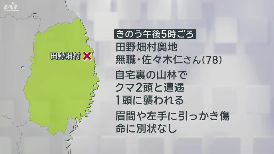高齢男性がクマに襲われけが【岩手・田野畑】