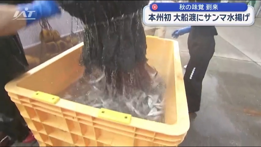 本州で最も早く「秋の味覚」サンマ【岩手・大船渡】