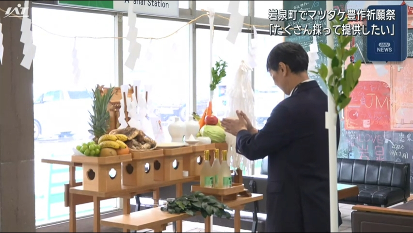 特産品のマツタケ　豊作祈願祭【岩手・岩泉町】