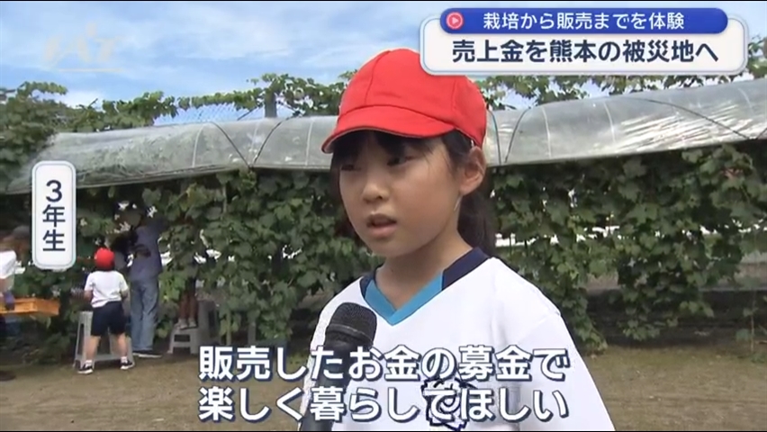 熊本に思いを寄せて…小学生が校庭のブドウ収穫【岩手・花巻市】
