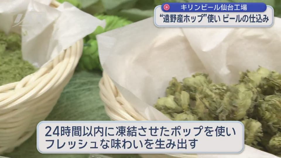 遠野産のホップを使ったビールの仕込み