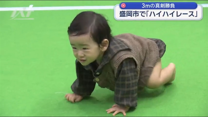 盛岡でハイハイレース　赤ちゃんの…