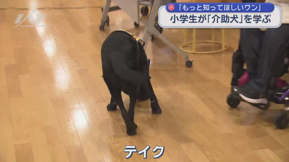 小学生が介助犬の役割を学ぶ【岩手・花巻市】