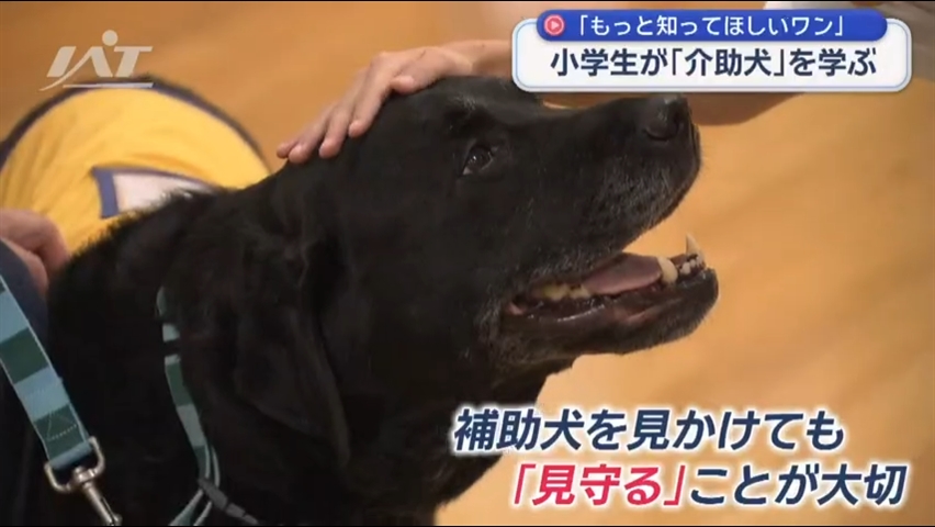 小学生が介助犬の役割を学ぶ【岩手・花巻市】
