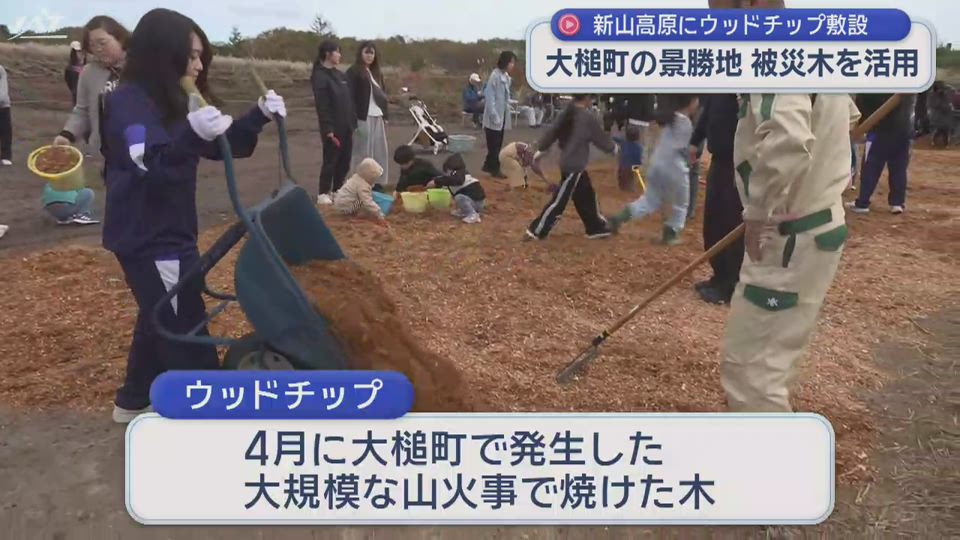 大槌町の景勝地・新山高原で被災木を活用【岩手】