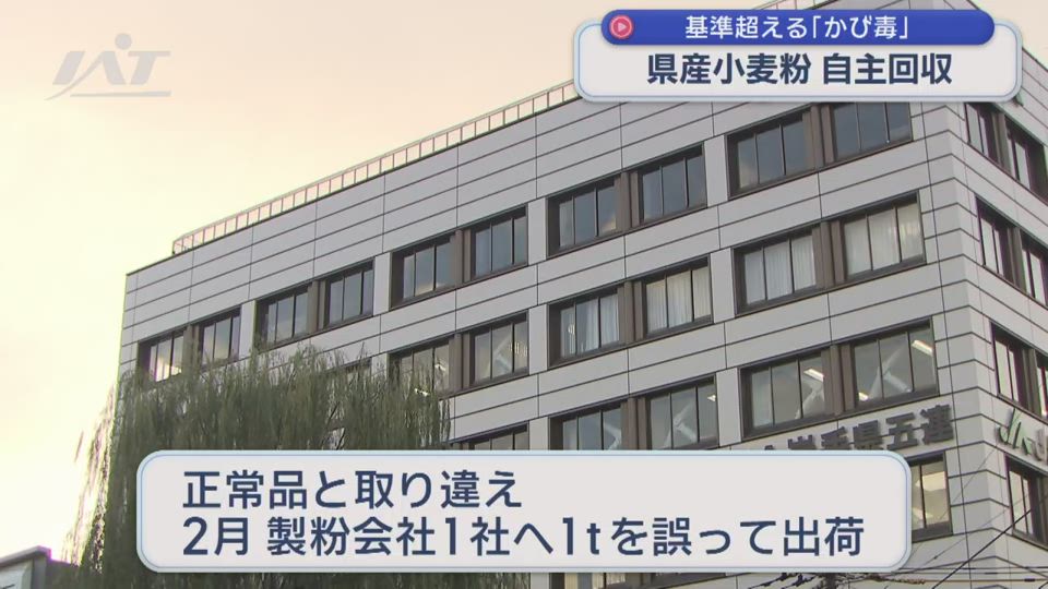 県産小麦”基準超えるかび毒”ＪＡ全農いわてが１７トン回収へ【岩手】