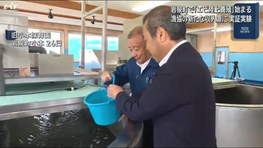 「エビ陸上養殖」サケの水揚げが激減する中で実証実験開始【岩手・岩泉町】