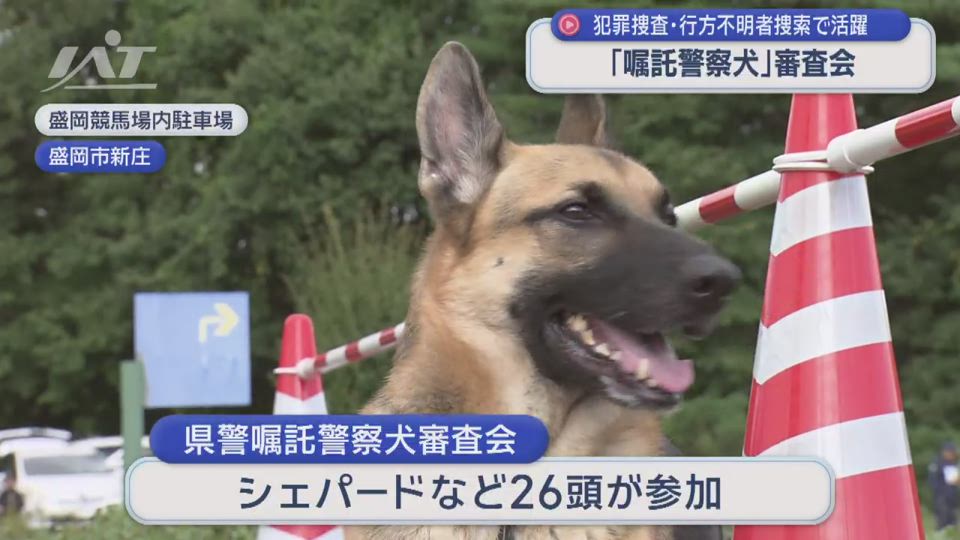 嘱託警察犬の審査会
