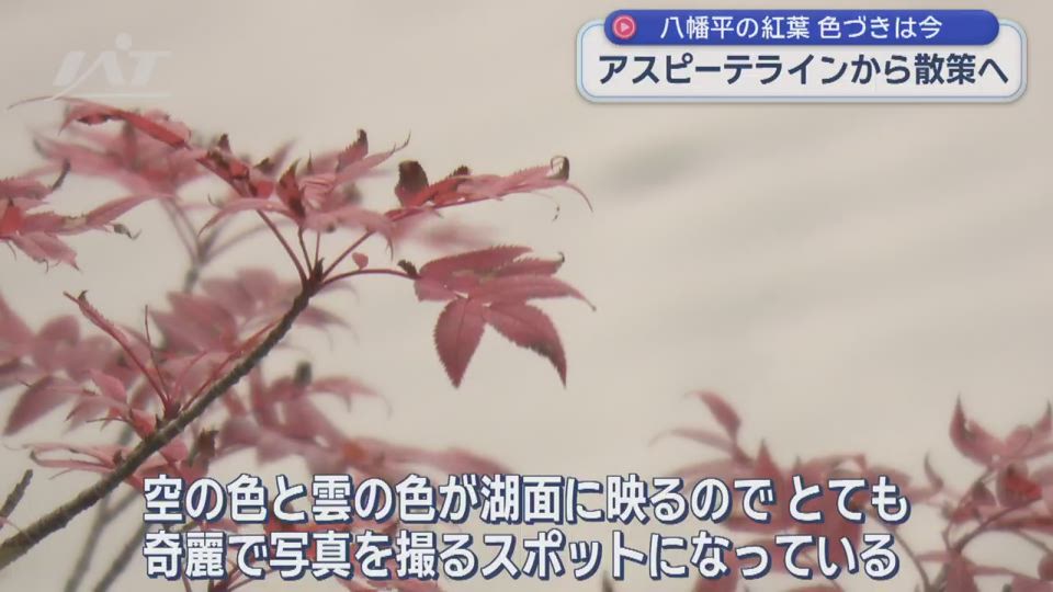 紅葉シーズン