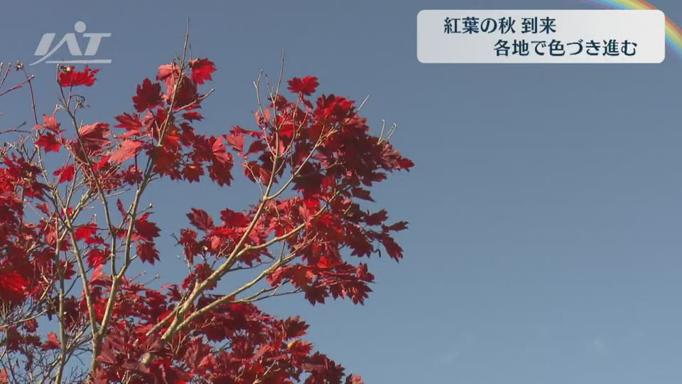 各地で紅葉　色づき進む